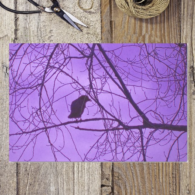 Papier Mousseline Black Crow Ciel violet Arbres Éffrayants noirs (Silhouette single black crow in barren tree branches purple hazy sky on tissue wrapping paper.)