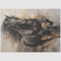 Black Horse Galloping