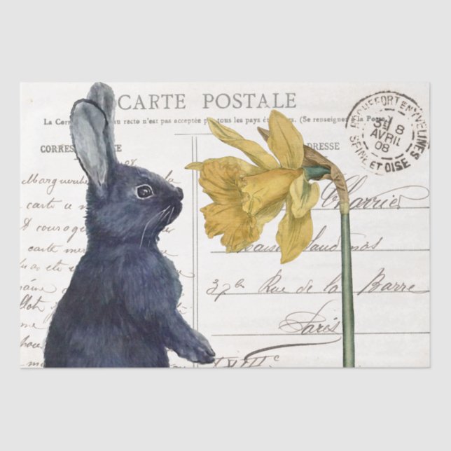 Papier Mousseline Black Rabbit Daffodique Pâques Carte Postale (Recto)