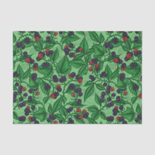 Papier Mousseline Blackberry en vert