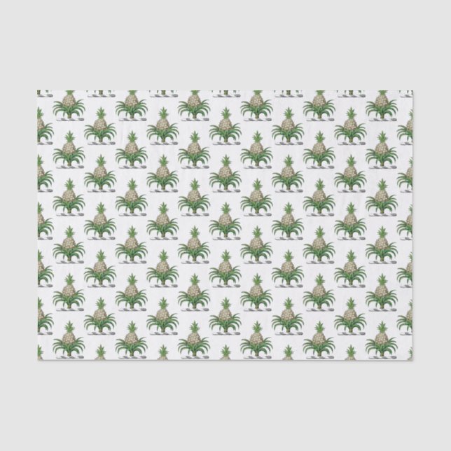 Papier Mousseline Blason Héraldique de l'Arbre de Pineapple Préparat (Recto)