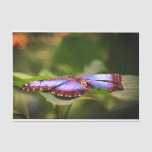 Papier Mousseline Bleu Papillon Nature Fermer Découpage (Recto)