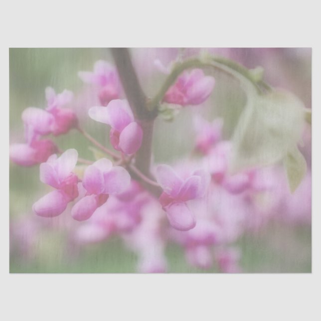 Papier Mousseline Blossoms Redbud (Recto)