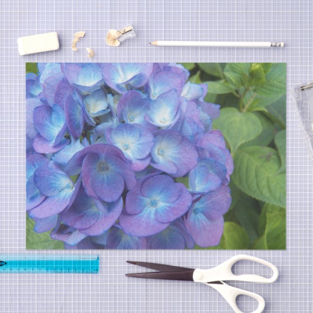 Papier Mousseline Blue Hydrangea Petals Floral (Artisanat)