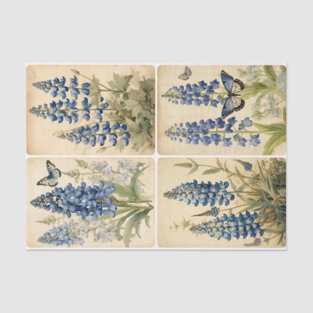 Papier Mousseline Bluebells (Recto)