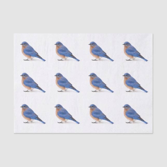 Papier Mousseline Bluebird (Recto)