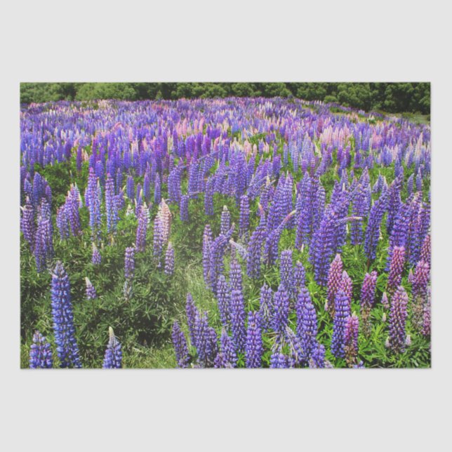 Papier Mousseline Bluebonnets Blue Floral Texas Texan Elegant (Recto)