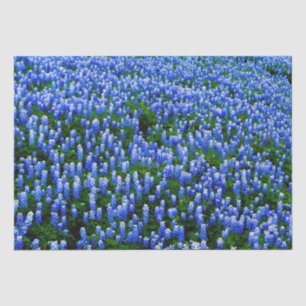 Papier Mousseline Bluebonnets Blue Floral Texas Texan Elegant Tissu