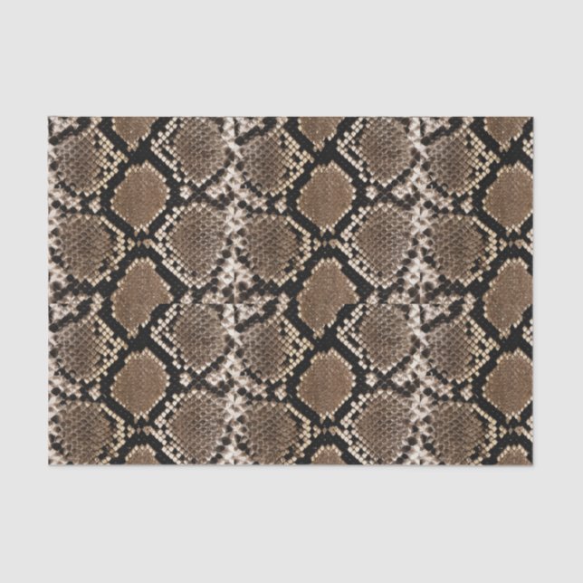 Papier Mousseline Boa Constrictor Snakeskin Tissu Papier (Recto)