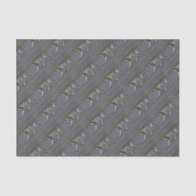 Papier Mousseline Bobcat (Recto)