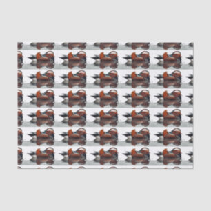 Papier Mousseline Bois Canard Thunder_Cove
