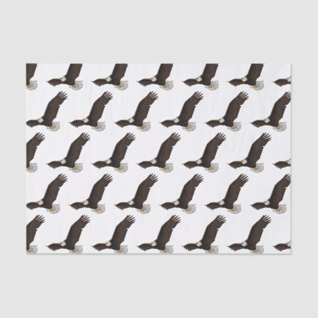 Papier Mousseline Bonne illustration de dessin d'aigle à chauve-sour (Recto)