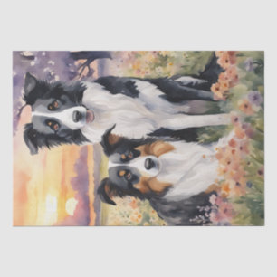 Papier Mousseline Bordure Collie et découpage australien Shepard
