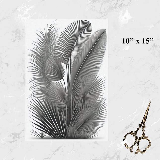 Papier Mousseline Botanique Blanc Noir Tirage Petit (Créateur téléchargé)