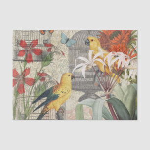 Papier Mousseline Botanique Vintage Oiseaux Nature Tropical Antique