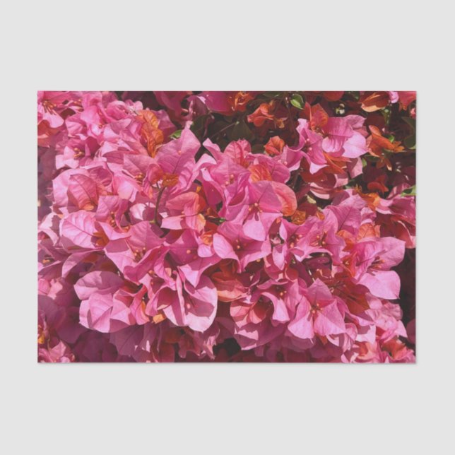 Papier Mousseline Bougainvillea Arbuste de vinification rose tropica (Recto)