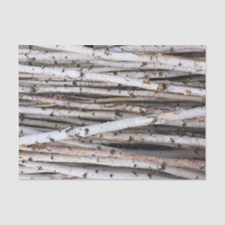 Papier Mousseline Bouleau