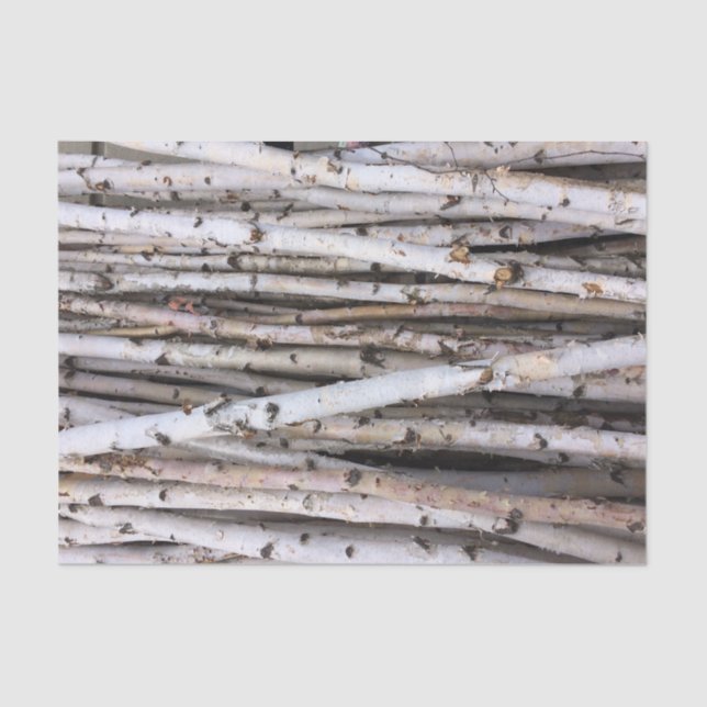 Papier Mousseline Bouleau (Recto)