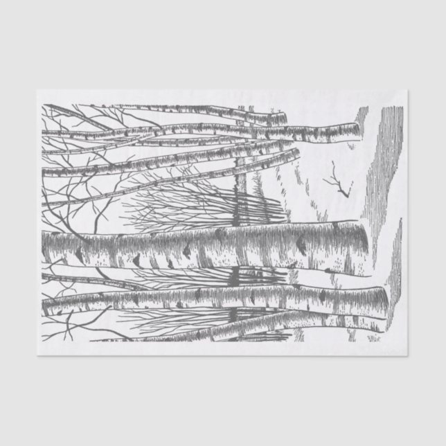 Papier Mousseline Bouleaux en hiver (Recto)