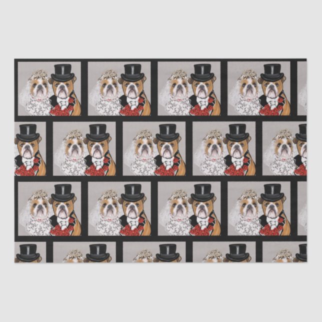 Papier Mousseline Bouledogue     (Recto)