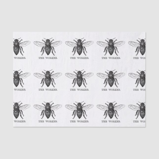 Papier Mousseline Bourdon noir ouvrier abeille miel (Recto)
