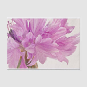 Papier Mousseline Bouton de mise à jour