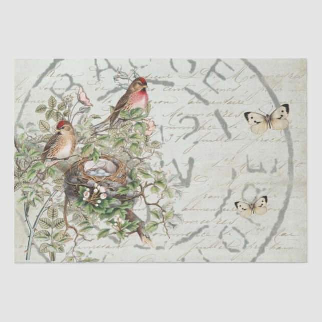 Papier Mousseline Bouton postal pour nid d'oiseaux français Script v (Recto)