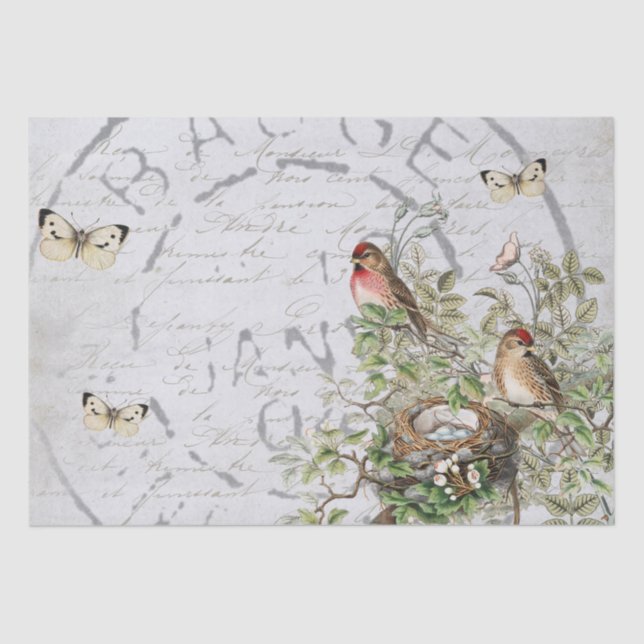 Papier Mousseline Bouton postal pour nid d'oiseaux Script français b (Recto)