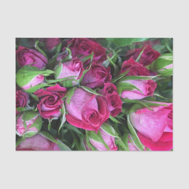 Papier Mousseline Boutons de rose de bébé (Recto)