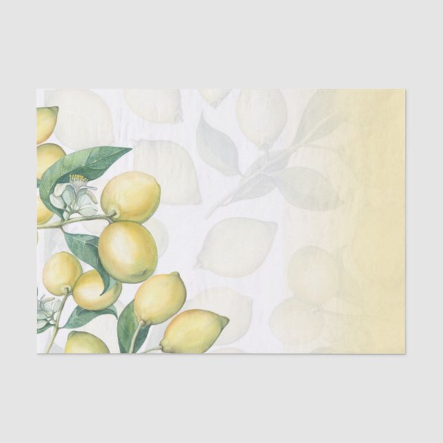 Papier Mousseline Branches de Citron Blanc & Jaune Campagne Rustique (Recto)