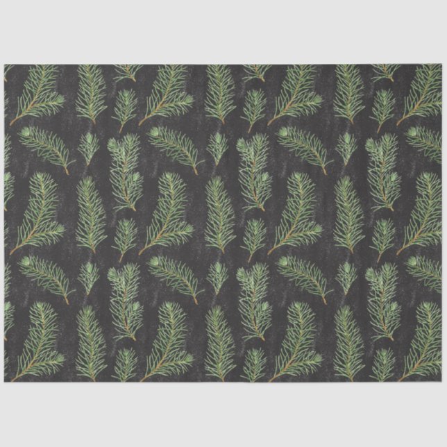 Papier Mousseline Branches de pin aquarelle sur arrière - plan noir. (Recto)