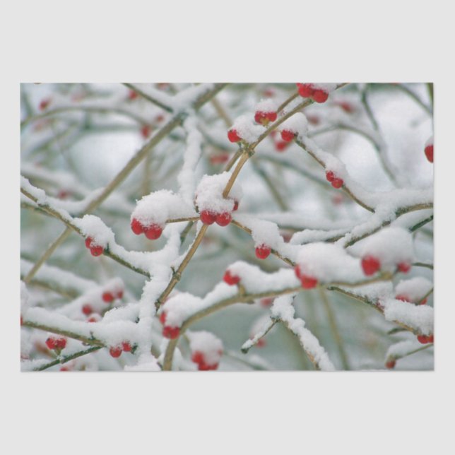 Papier Mousseline Branches d'hiver avec baies rouges et neige (Recto)