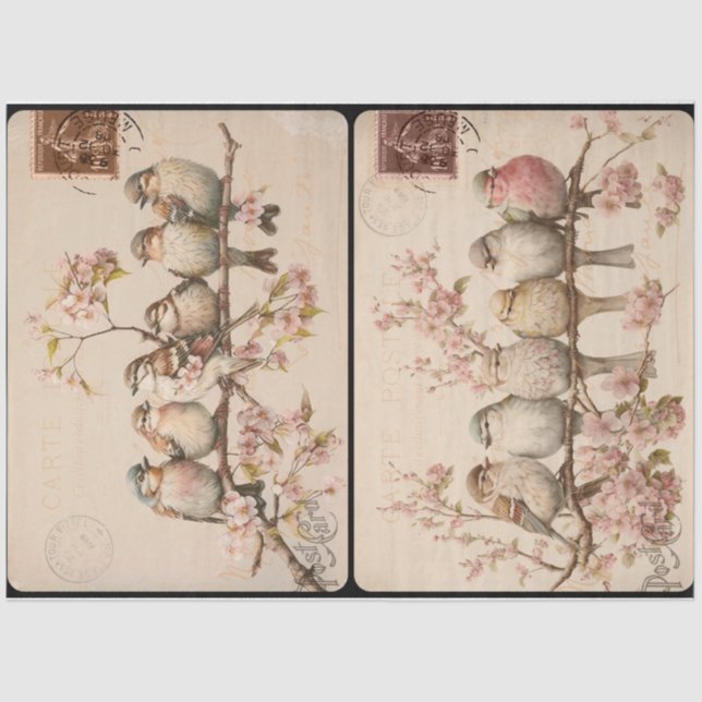 Papier Mousseline Branchy Birds (Recto)