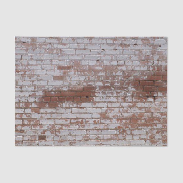 Papier Mousseline Briques peintes (Recto)