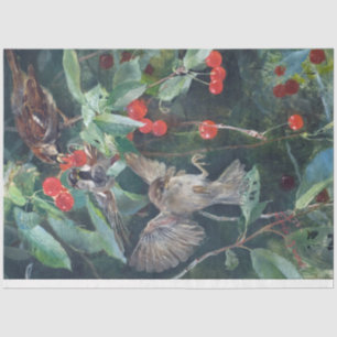Papier Mousseline Bruant dans un cerisier, Bruno Liljefors
