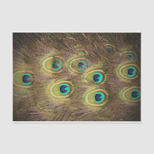 Papier Mousseline Brun et plume de paon d'or (Recto)