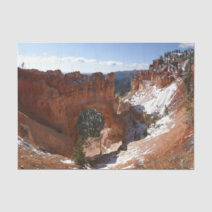 Papier Mousseline Bryce Canyon Pont naturel Paysage neigeux Photo