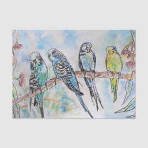 Papier Mousseline Budgie Aquarelle Peinture d'oiseau Budgies Aqua Tu