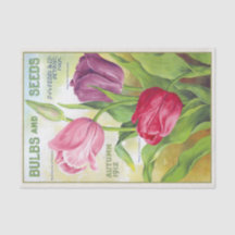 Bulbes et graines vintages 1912 Tulipes