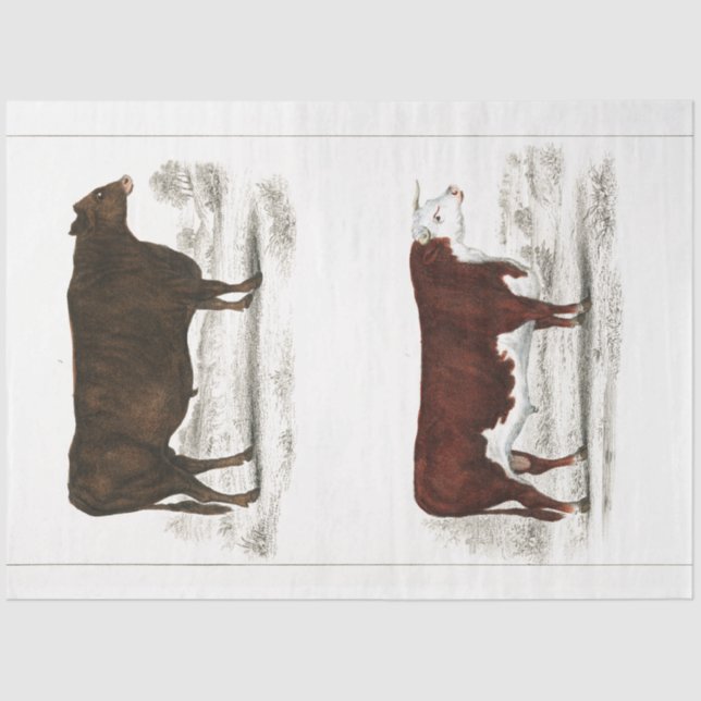 Papier Mousseline Bull Cow Ephemera Decoupage Ferme Vintage (Recto)