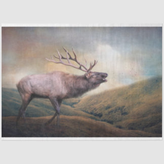 Papier Mousseline Bull Elk déroutant la faune