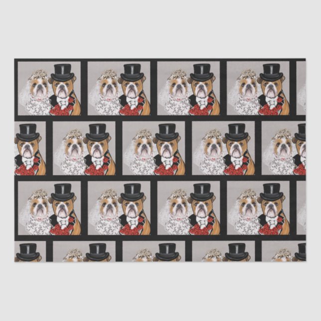 Papier Mousseline Bulldog (Recto)