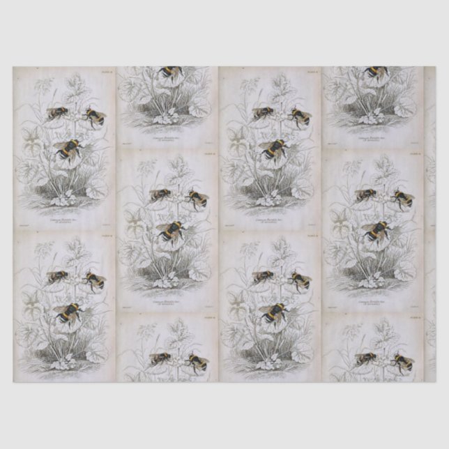 Papier Mousseline Bumble Bee Botanique Papier Tissu (Recto)