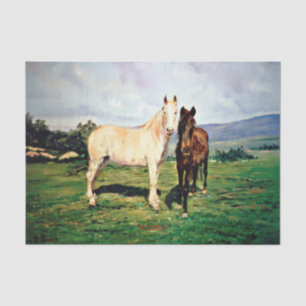 Papier Mousseline Caballos/Cabalos/Chevaux