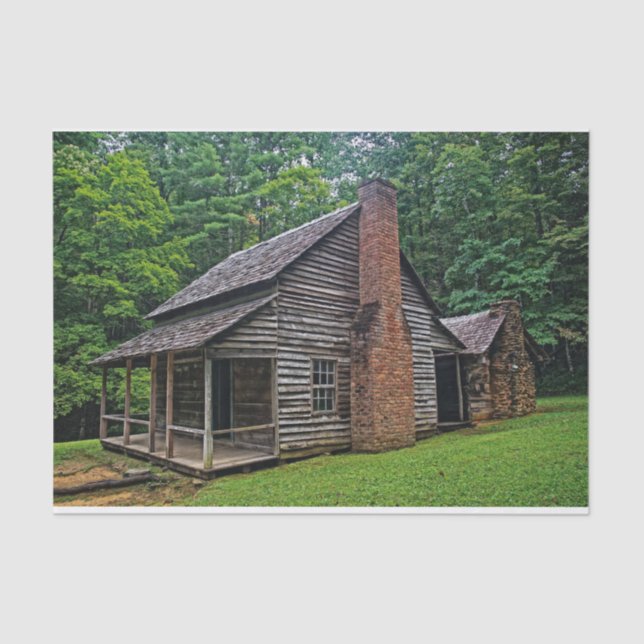Papier Mousseline Cabine en bois et briques dans une forêt d'été (Recto)