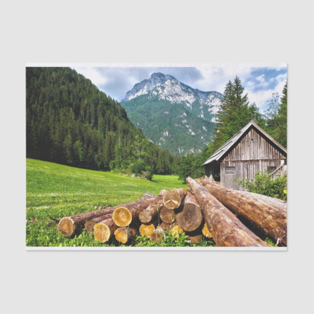 Papier Mousseline Cabine mignon dans une prairie estivale (Recto)