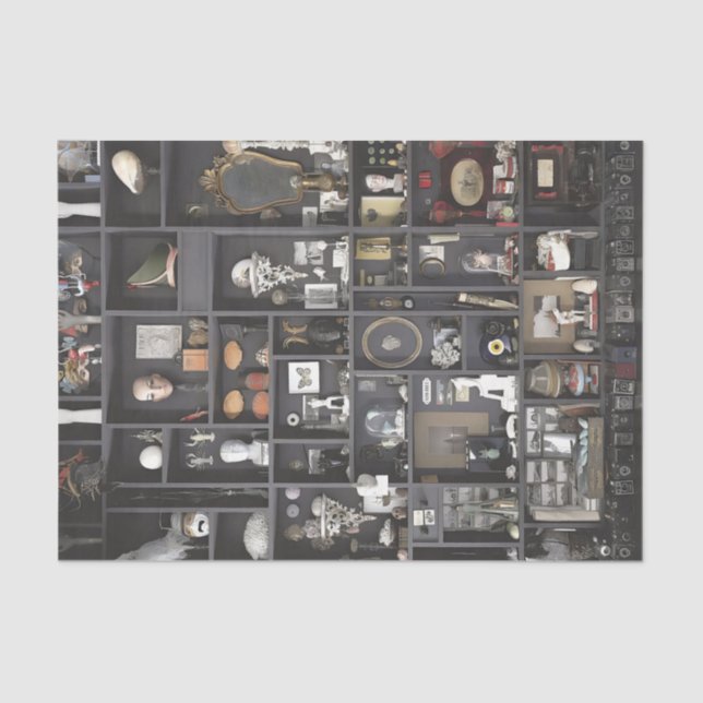 Papier Mousseline Cabinet de curiosités étagères (Recto)