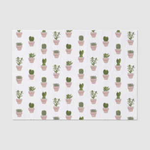 Papier Mousseline Cacti & Succulent - Rose - Transparent