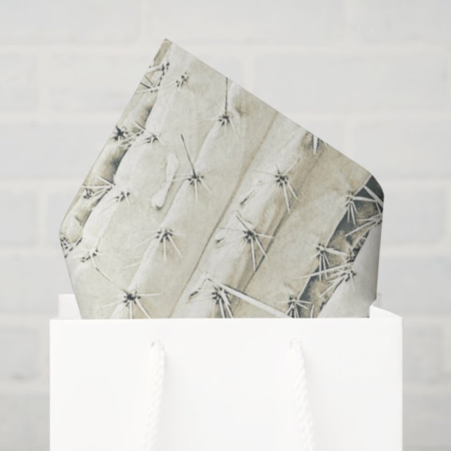 Papier Mousseline Cactus Photo Art Neutre Chic Moderne Désert (Sac cadeau)