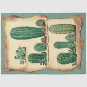 Papier Mousseline Cactus Plante Ephemera Collage Art No2